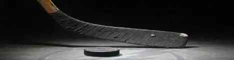 Eishockey Livescore für DEL & mehr